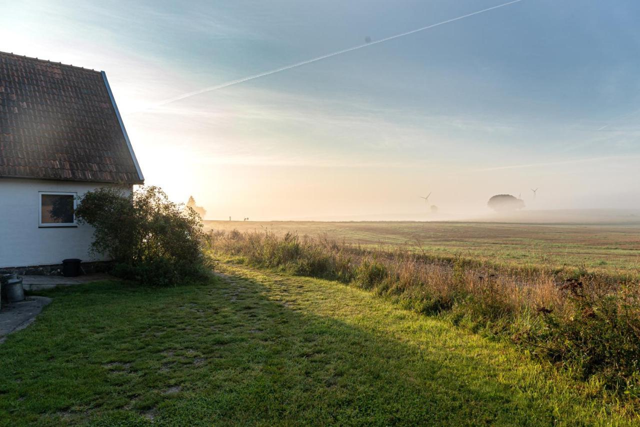 Red Bird Farm Bed and Breakfast Ystad Buitenkant foto