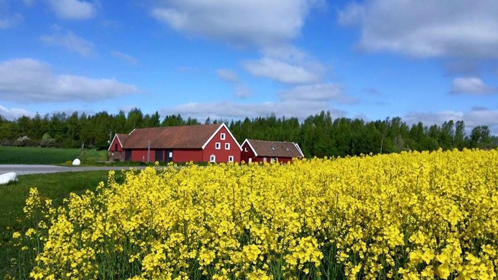 Red Bird Farm Bed and Breakfast Ystad Buitenkant foto
